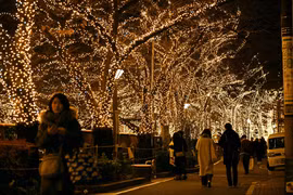 Nửa triệu đèn LED thắp sáng sông ở Tokyo để đón Giáng sinh