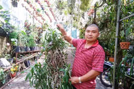 "Ngược đời" chàng trai vào rừng gieo lan