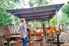 Ayun Pa "tiếp sức" phụ nữ nghèo phát triển kinh tế