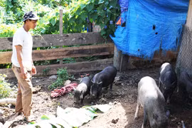 "Dân vận khéo" để phát triển kinh tế