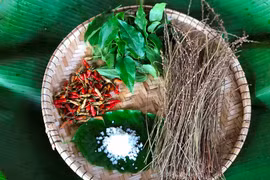 Muối groach - Độc đáo hương vị núi rừng