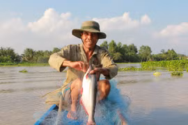 Săn cá vồ đém