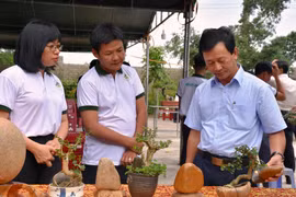 Ra mắt Nông hội hoa, cây cảnh An Khê