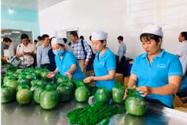Đưa hàng Việt vào thị trường Thái