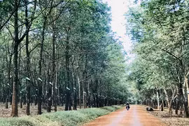 Tản mạn Ia Ko