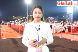 Gia Lai: Kỷ niệm 90 năm Ngày thành lập tỉnh, công bố và đón nhận Bằng Di sản thiên nhiên, di tích văn hóa tiêu biểu