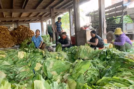 Ia Peng phát huy vai trò kinh tế tập thể
