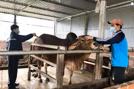 Các bộ, ngành trả lời kiến nghị của cử tri Gia Lai về lĩnh vực nông nghiệp và tài nguyên-môi trường