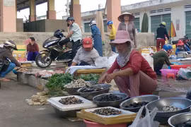 Di dời chợ Hoa Lư: Cần phương án phù hợp
