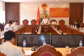Gia Lai: Tiến độ tái canh cà phê còn chậm
