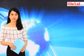 Gia Lai 48h: Di dời chợ Hoa Lư: Cần phương án phù hợp