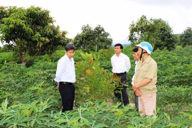 Khuyến khích nông dân vươn lên làm giàu