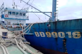 Bị tàu 'lạ' đâm chìm giữa biển, 6 người Bình Định may mắn được cứu