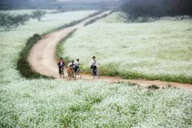 Con đường đi học