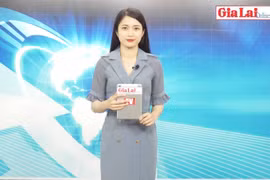 Gia Lai 48h: Mưa kèm theo gió lốc làm thiệt hại tài sản hàng tỷ đồng