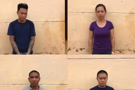 Tạm giam 4 đối tượng bắt trộm 27 con bò