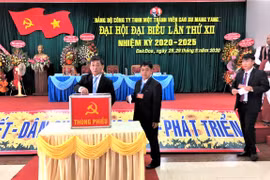 Cao su Mang Yang phấn đấu trong 5 năm đạt tổng doanh thu 4.318 tỷ đồng