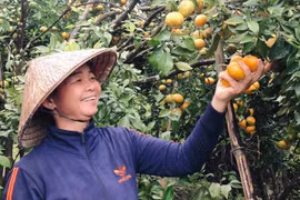 Cam Kon Gang vào Siêu thị Co.op Mart