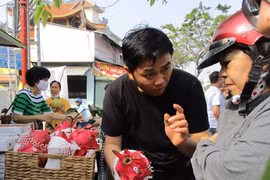 Nâng tầm quả thanh long "tỉ đô"
