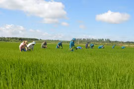 Lực lượng vũ trang Gia Lai "Điểm tựa" của người dân