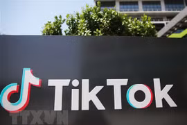 Ứng dụng TikTok gỡ hơn 104 triệu video có nội dung bạo lực