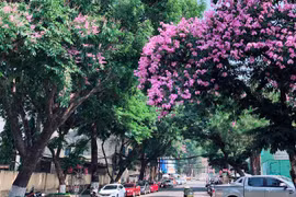 Ban mai thành phố