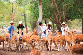 Du lịch Nha Trang mở cửa lại
