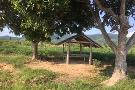 Đang nằm mật phục, 2 kiểm lâm viên bị kẻ lạ mặt tấn công