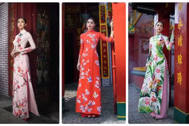 Ngắm Hoa hậu Tiểu Vy trong những tà áo dài sắc hồng, đỏ du xuân