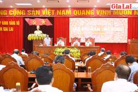 Hội nghị lần thứ 5 Ban Chấp hành Đảng bộ tỉnh Gia Lai: Hoàn thành nội dung, chương trình đề ra