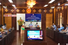 Triển khai chương trình thi đua ngành Kế hoạch và Đầu tư