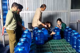 Đảm bảo an toàn thực phẩm vì mục tiêu phát triển bền vững
