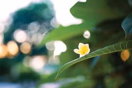 Hạnh phúc...