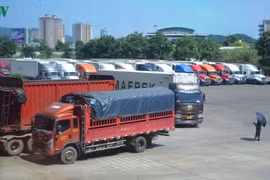 Thực hư hàng trăm container thanh long bị Trung Quốc cấm cửa?