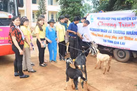 Những phần quà vì phụ nữ biên cương