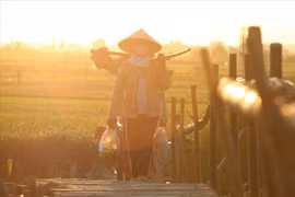Hoang sơ cầu tre Cẩm Đồng