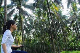 Về nơi không có nắng