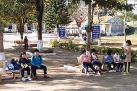 Cho học sinh trên địa bàn Gia Lai tạm nghỉ học là cần thiết
