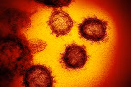 Virus Corona mới dễ lây hơn SARS