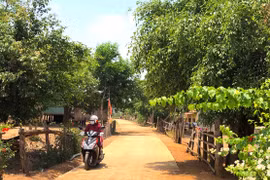 Kông Chro ưu tiên nguồn lực xây dựng làng nông thôn mới