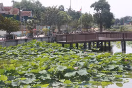 Nghệ An: Xã Kim Liên phát triển cây sen gắn với du lịch