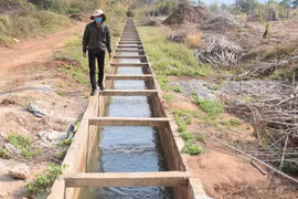 Sức bật Ayun