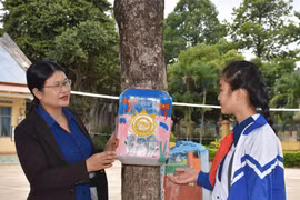 Trường Tiểu học Trần Đại Nghĩa: Lá cờ đầu trong phong trào "Dạy tốt-học tốt" ở Pleiku