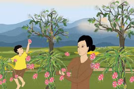 Vườn thanh long của mẹ