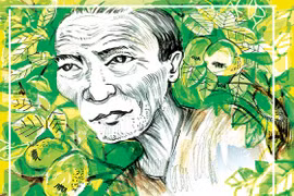 Bóng cha