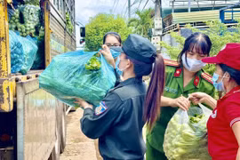 Người dân Đắk Lắk đội mưa thu hoạch nông sản chi viện vùng tâm dịch