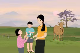 Nấm mối ngày mưa