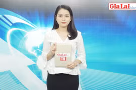 Gia Lai 48h: Quyết tâm không để đứt gãy chuỗi cung ứng hàng hóa
