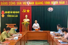 Đến năm 2025, nâng độ che phủ rừng lên 47,75%