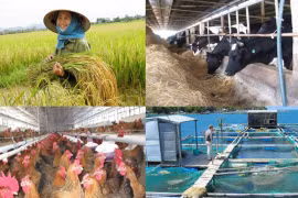 Bổ sung đối tượng không chịu thuế GTGT